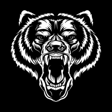 Angry bear face vector illustration. Furious angry face of bear with open mouth and terrible teeth as symbol of strength and aggressiveness. Grunge style  print for sport wear.
