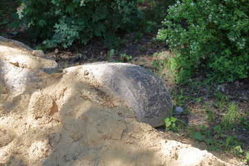 Untreated rough natural gray stone in everyday environment