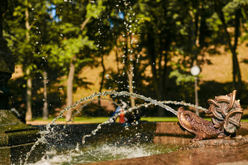 Naklejka premium fountain in the park