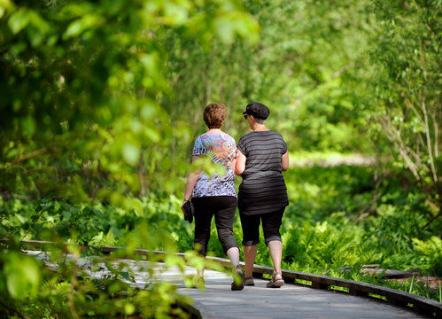 promenade dans le bois
