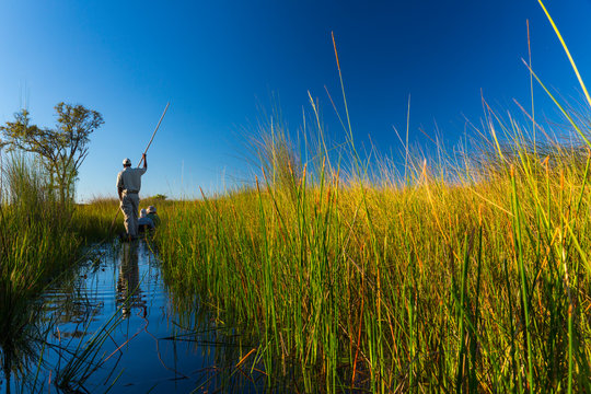 Mokoro, Okavango Delta, Botswana, Africa