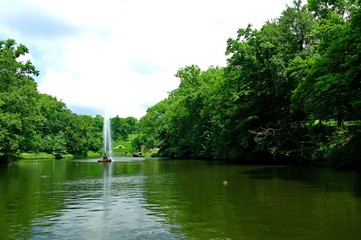 Summer landscape, forest