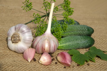Cucumbers and spices for home canning on burlap