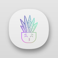 Zebra cactus app icon