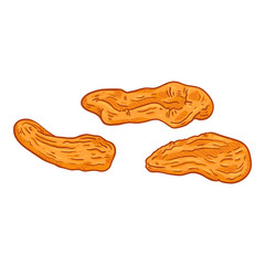 Vector Cartoon Illustration - Orange Dried Apricot