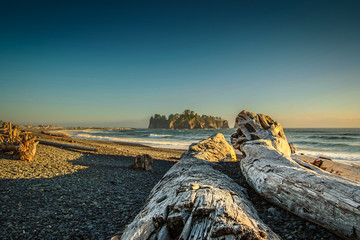 Rialto Driftwood