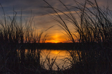 Nature's Canvas