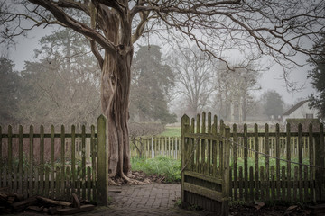 Fototapeta premium The gate to the garden