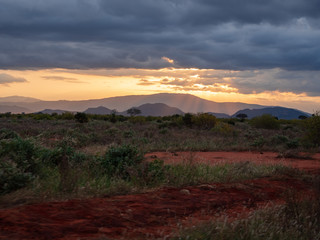 Landscape of Tsavo East National Park, Kenya