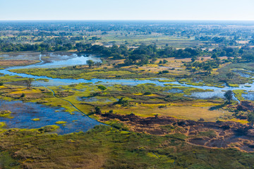 Fototapeta na wymiar Okavango Delta, Botswana, Africa