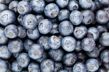 Fresh blueberry background. Texture blueberry berries close up.