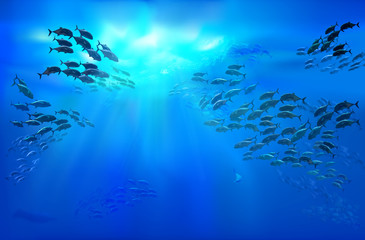 Large school of fish in the tropical sea. Underwater view. Life in the ocean. 