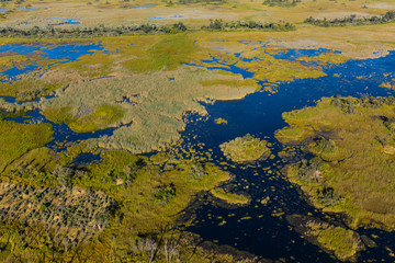 Okavango Delta, Botswana, Africa