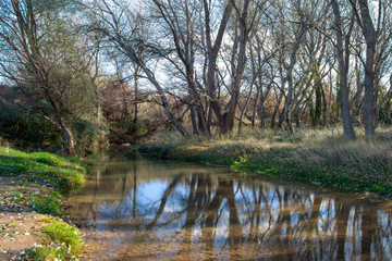 Fototapeta na wymiar Local river in Aragon Spain landscape