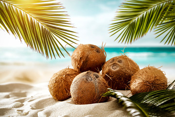 Fresh coconuts on beach and summer time. green palms leaves and ocean landscape 