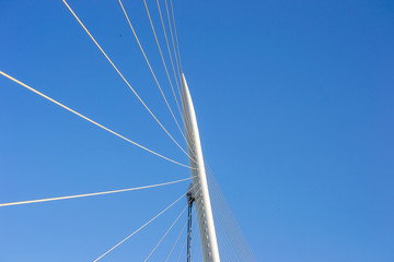 Part of Pasarela del Voluntariado Zaragoza Spain