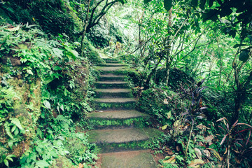 Old stony stairs at Gitgit Waterfall on Bali island, Indonesia