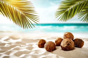 Fresh coconuts on beach and summer time. green palms leaves and ocean landscape  © magdal3na
