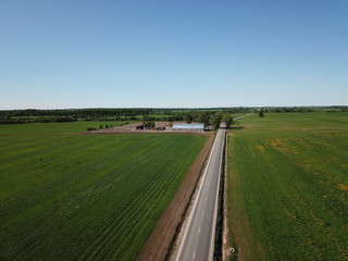 Road and fields