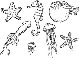 Marine Life Hand Drawn Doodles