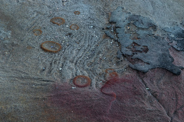 Pattern and colour of rock surface.