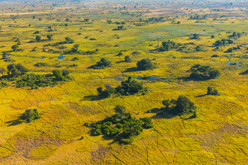 Okavango Delta, Botswana, Africa