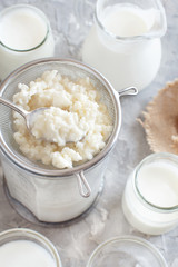 Kefir grains and  fermented drink kefir