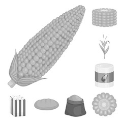 Isolated object of agriculture and nutrition icon. Collection of agriculture and vegetable stock symbol for web.