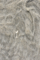 Sand 