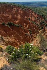 Badlands of Ponton de la Oliva, Madrid , Spain