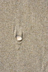 Sand on the sea beach