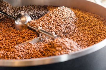 Freshly roasted coffee beans from a large roaster in the cooling cylinder. Motion blur on the beans, selective focus