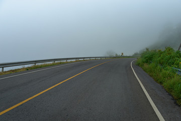 Foggy road in the forest