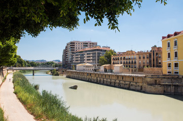 Rybka w wodzie w rzece w Murcii, Hiszpania. - obrazy, fototapety, plakaty
