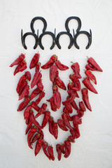 Drying peppers haning on the wall