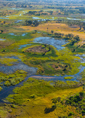 Okavango Delta, Botswana, Africa