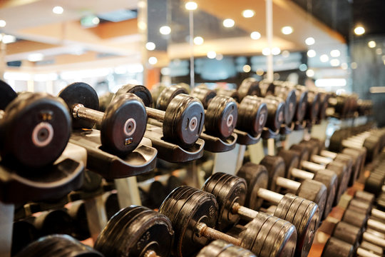 Rows of metal dumbbells on rack for strength training in gym