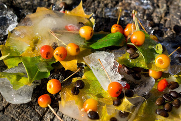 Background of  black coffee beans, red small apple, berry of goji and yellow leaves of maple   frozen in ice