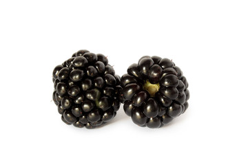 Blackberries isolated on white background