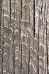 Holzplatte. Hintergrund