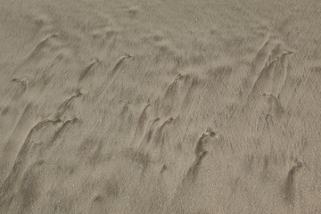 texture of sand