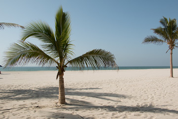 Strand bei Salalah