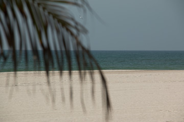 Strand bei Salalah Oman