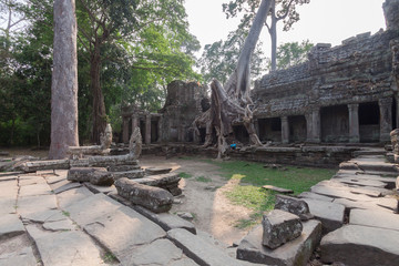 Fototapeta na wymiar Huge roots on the temple in Pra Khan ,Siem Reap,Cambodia