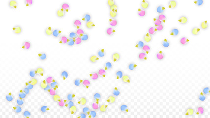 Vector Realistic Colorful Petals Falling on Transparent Background.  Spring Romantic Flowers Illustration. Flying Petals. Sakura Spa Design. Blossom Confetti. Design Elements for Wedding Decoration.