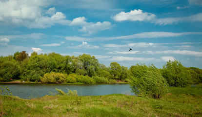 Fototapeta premium The bird flies over the river on a Sunny spring day.
