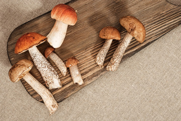 Close-up forest fresh mushrooms, red-capped scaber stalk on table. Big and small orange cap boletus. Food background. Healthy vegetarian meal. Top view.