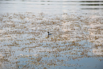 old wooden background