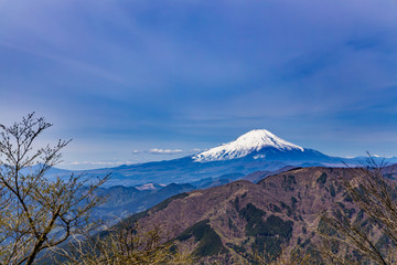 Fototapeta premium 富士山と青空