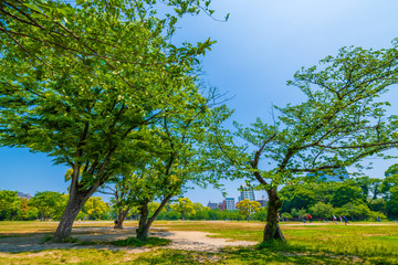 初夏の舞鶴公園【福岡県】